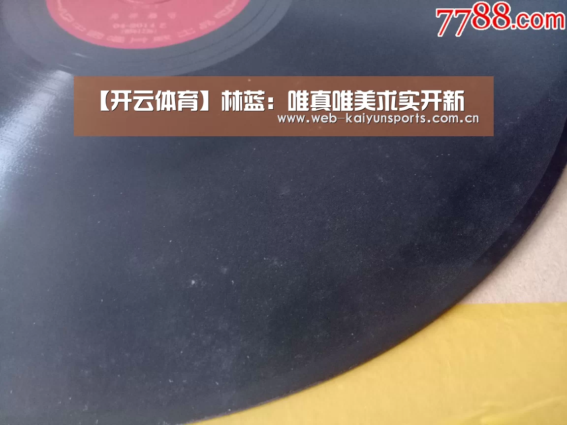 【开云体育】林蓝：唯真唯美求实开新
