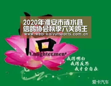 2020年淮安市涟水县信鸽协会秋季六关鸽王排名‘开云体育’(图2) 开云体育