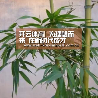 开云体育