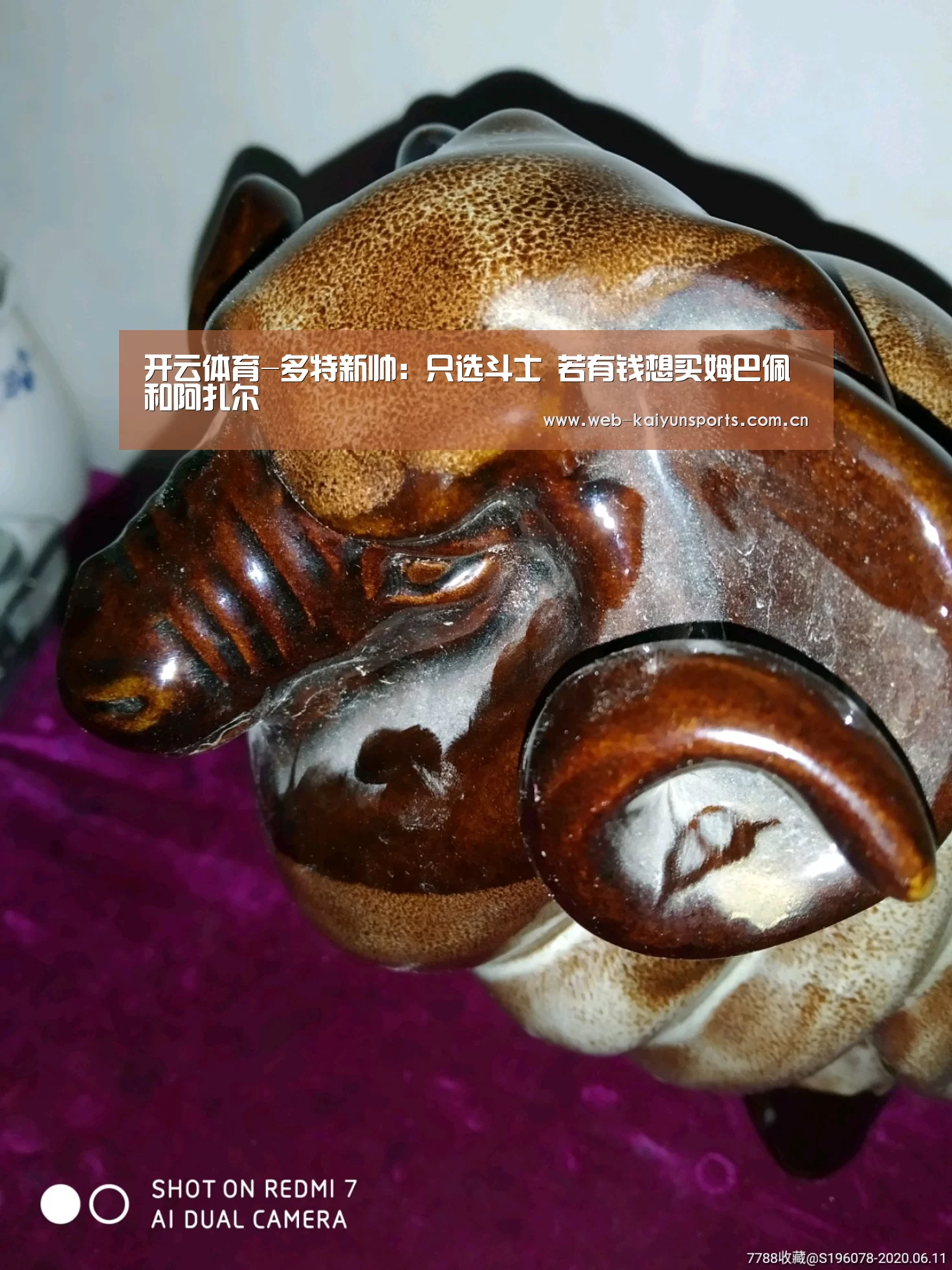 开云体育
